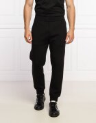 Emporio Armani Pantaloni | Regular Fit