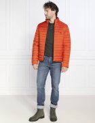 Emporio Armani Polo | Regular Fit