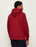 Gant Hanorac Graphic | Relaxed fit