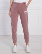 GUESS ACTIVE Pantaloni de trening BRYONY | Regular Fit