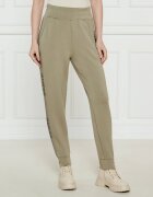 GUESS Pantaloni de trening VICTOIRE | Regular Fit