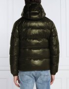 Hetrego De puf geacă SCOTT | Regular Fit