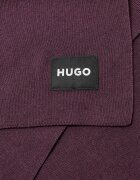 Hugo Șal Zevon_C
