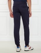 Iceberg Pantaloni de trening | Regular Fit