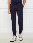 Iceberg Pantaloni de trening | Regular Fit