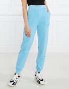 Karl Lagerfeld Pantaloni de trening ikonik 2.0 tonal | Regular Fit