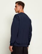 Lacoste Hanorac | Classic fit