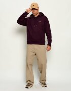 Lacoste Hanorac | Classic fit