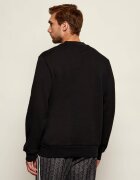 Lacoste Hanorac | Classic fit