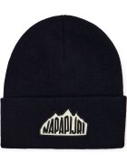 Napapijri Căciulă F-Mountain 2