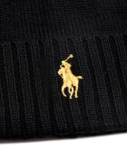 Polo Ralph Lauren de lână căciulă