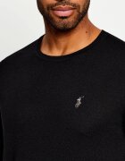Polo Ralph Lauren De lână pulover | regular fit