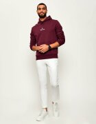 Polo Ralph Lauren Hanorac | Regular Fit