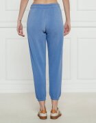 Polo Ralph Lauren Pantaloni de trening ATHLETIC | Loose fit