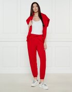 Polo Ralph Lauren Pantaloni de trening LUNAR | Regular Fit