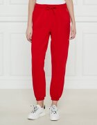 Polo Ralph Lauren Pantaloni de trening LUNAR | Regular Fit
