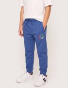 Polo Ralph Lauren Pantaloni de trening | regular fit