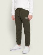 Polo Ralph Lauren Pantaloni de trening | regular fit