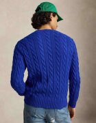 Polo Ralph Lauren Pulover | regular fit