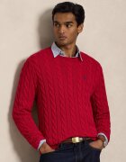 Polo Ralph Lauren Pulover | Regular Fit