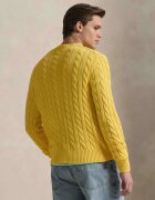 Polo Ralph Lauren Pulover | regular fit