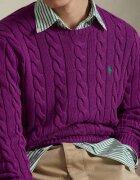 Polo Ralph Lauren Pulover | regular fit