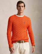Polo Ralph Lauren Pulover | regular fit