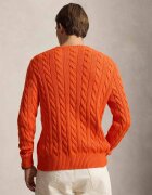 Polo Ralph Lauren Pulover | regular fit
