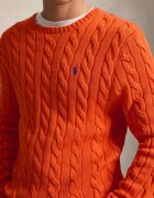 Polo Ralph Lauren Pulover | regular fit