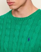 Polo Ralph Lauren Pulover | regular fit
