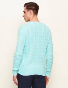 Polo Ralph Lauren Pulover | regular fit