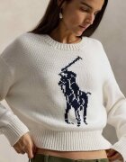 Polo Ralph Lauren Pulover | Relaxed fit
