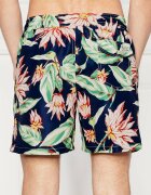 Polo Ralph Lauren Șorți de baie TRAVELER | regular fit