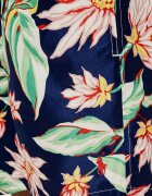 Polo Ralph Lauren Șorți de baie TRAVELER | regular fit