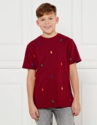Polo Ralph Lauren Tricou | Regular Fit