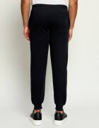 Replay Pantaloni de trening | regular fit