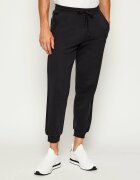 Replay Pantaloni de trening | regular fit