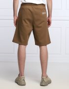 Replay Pantaloni scurți | Regular Fit