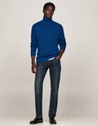 Tommy Hilfiger Blugi Denton | Regular Fit