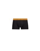 Tommy Hilfiger Chiloți boxer 3-pack