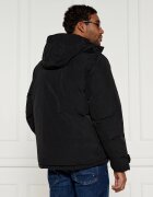Tommy Hilfiger De puf geacă ROCKIE | Regular Fit