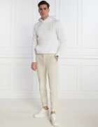 Tommy Hilfiger Hanorac FLAG LOGO | Regular Fit