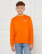 Tommy Hilfiger Hanorac | Regular Fit