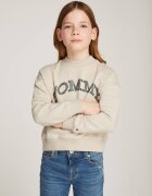 Tommy Hilfiger Hanorac | Regular Fit