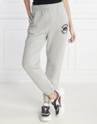 Tommy Hilfiger Pantaloni de trening VARSITY FLOCK | Relaxed fit