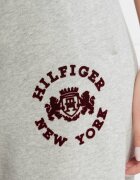Tommy Hilfiger Pantaloni de trening VARSITY FLOCK | Relaxed fit