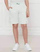Tommy Hilfiger Pantaloni scurți | Regular Fit