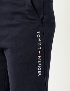 Tommy Hilfiger Pantaloni scurți | regular fit