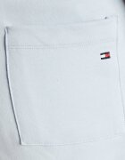 Tommy Hilfiger Pantaloni scurți | Regular Fit
