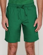 Tommy Hilfiger Pantaloni scurți | Regular Fit